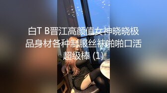 TWTP 大神潜入商场女厕全景偷拍多位美女嘘嘘第六季 (13)