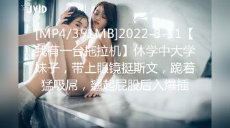 抖S麥娜會長大人被抖M筆記支配了 1