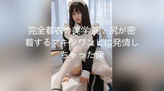 完全着衣の美学 胸・尻が密着するマキシワンピに発情しちゃった俺