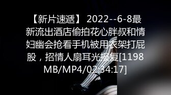 【新片速遞】 2022--6-8最新流出酒店偷拍花心胖叔和情妇幽会抢看手机被用衣架打屁股，招情人扇耳光报复[1198MB/MP4/02:34:17]