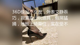 国产麻豆AV 豚豚创媒 寂寞调酒站 韩宝儿