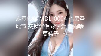 麻豆传媒 MDL-0004 暗黑圣诞节 交换伴侣同学会 潘雨曦 夏晴子