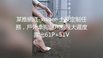 某推網紅-xiaoer-土豪定制任務，戶外牽狗鏈JK制服大遲度露出61P+51V