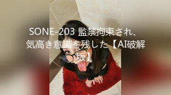 SONE-203 監禁拘束され、気高き意識を残した【AI破解版】