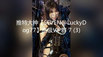 推特大神【SEVEN@LuckyDog77】高级VIP群 7 (3)