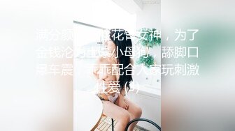 满分颜值露脸花臂女神，为了金钱沦为土豪小母狗，舔脚口爆车震，乖乖配合人家玩刺激性爱 (3)