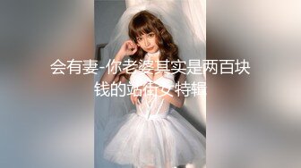 会有妻-你老婆其实是两百块钱的站街女特辑