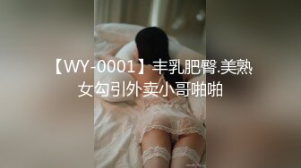 【WY-0001】丰乳肥臀.美熟女勾引外卖小哥啪啪