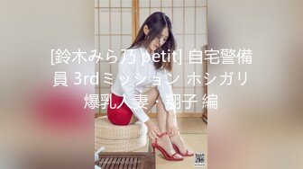 [鈴木みら乃 petit] 自宅警備員 3rdミッション ホシガリ爆乳人妻・翔子 編