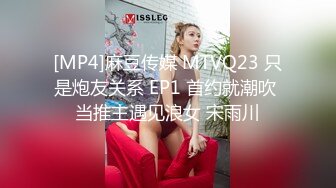 [MP4]麻豆传媒 MTVQ23 只是炮友关系 EP1 首约就潮吹 当推主遇见浪女 宋雨川