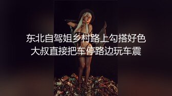 东北自驾姐乡村路上勾搭好色大叔直接把车停路边玩车震