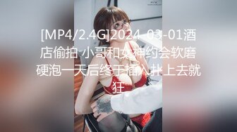 [MP4/2.4G]2024-03-01酒店偷拍 小哥和女神约会软磨硬泡一天后终于插入扑上去就狂