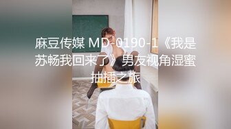 麻豆传媒 MD-0190-1《我是苏畅我回来了》男友视角湿蜜抽插之旅