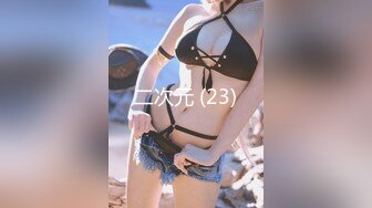 二次元 (23)