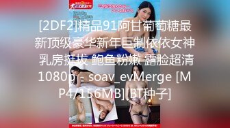 [2DF2]精品91阿甘葡萄糖最新顶级豪华新年巨制依依女神 乳房挺拔 鲍鱼粉嫩 露脸超清1080p - soav_evMerge [MP4/156MB][BT种子]