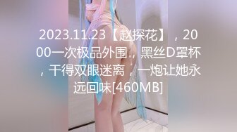 2023.11.23【赵探花】，2000一次极品外围，黑丝D罩杯，干得双眼迷离，一炮让她永远回味[460MB]