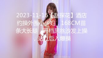 2023-11-16【赵探花】酒店约操外围小少妇，168CM苗条大长腿，开档黑丝沙发上操，站立后入爆操