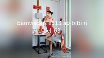 bamvisions e313 ap bibi noel-63