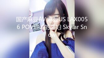 国产麻豆AV 麻豆US LAX0056 POV坦诚的荡妇 Skylar Snow