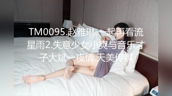 TM0095.赵雅琳.一起再看流星雨2.失意少女小爽与音乐才子大斌一夜情.天美传媒