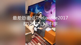 最差劲 最低TheLowlife2017BD720P日语中字