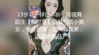 我的小母狗们·