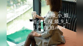 麻豆傳媒 MDX-0246家教爆操巨乳厨娘-楚梦舒