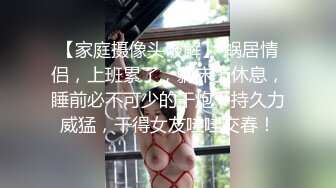 商业女间谍苏小小