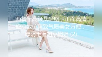 西餐厅高级女坐厕，正面高清偸拍数位精致气质美女方便，厚阴毛上翘小姐姐 (2)