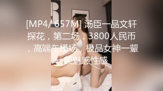 [MP4/ 657M] 汤臣一品文轩探花，第二场，3800人民币，高端车模场，极品女神一颦一笑魅惑性感