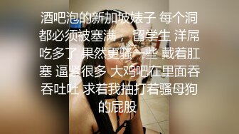 酒吧泡的新加坡婊子 每个洞都必须被塞满， 留学生 洋屌吃多了 果然更骚一些 戴着肛塞 逼紧很多 大鸡吧在里面吞吞吐吐 求着我抽打着骚母狗的屁股 