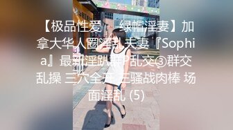 【极品性爱❤️绿帽淫妻】加拿大华人圈淫乱夫妻『Sophia』最新淫趴群P乱交③群交乱操 三穴全开 三骚战肉棒 场面淫乱 (5)