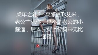 虎年之礼6--高颜值Ts艾米，老公艹死你，是不是老公的小骚逼，后入、女上位骑乘无比淫骚！