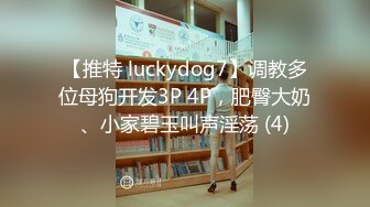 【推特 luckydog7】调教多位母狗开发3P 4P，肥臀大奶、小家碧玉叫声淫荡 (4)