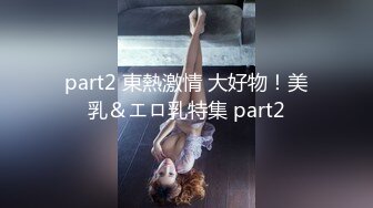 part2 東熱激情 大好物！美乳＆エロ乳特集 part2