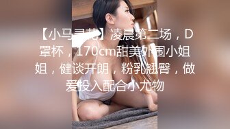 【小马寻花】凌晨第二场，D罩杯，170cm甜美外围小姐姐，健谈开朗，粉乳翘臀，做爱投入配合小尤物