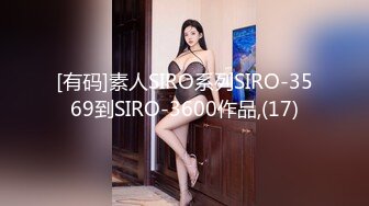 [有码]素人SIRO系列SIRO-3569到SIRO-3600作品,(17)