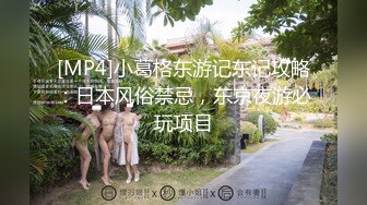 [MP4]小葛格东游记东记攻略：日本风俗禁忌，东京夜游必玩项目