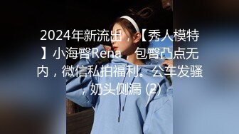 2024年新流出，【秀人模特】小海臀Rena，包臀凸点无内，微信私拍福利。公车发骚，奶头侧漏 (2)