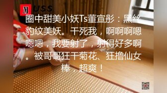 圈中甜美小妖Ts董宣彤：黑丝豹纹美妖。干死我，啊啊啊嗯嗯嗯，我要射了，射得好多啊。被哥哥狂干菊花、狂撸仙女棒，超爽！