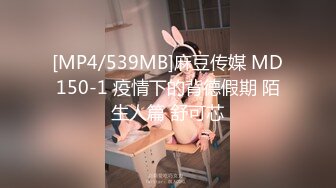 [MP4/539MB]麻豆传媒 MD150-1 疫情下的背德假期 陌生人篇 舒可芯