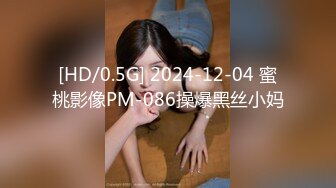 [HD/0.5G] 2024-12-04 蜜桃影像PM-086操爆黑丝小妈