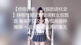 【终极调教❤️女奴的进化史】绿帽性爱狂超级调教女奴甄选 餐桌下口交 KTV包厢各种爆操 一流女神被玩弄的毫无人性20 (1)