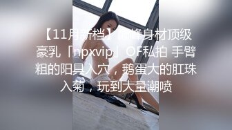 【11月新档】巅峰身材顶级豪乳「npxvip」OF私拍 手臂粗的阳具入穴，鹅蛋大的肛珠入菊，玩到大量潮喷