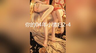 你的04年小情妇2-4