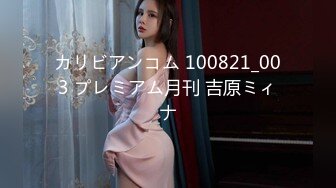 カリビアンコム 100821_003 プレミアム月刊 吉原ミィナ