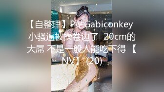 【自整理】P站Gabiconkey  小骚逼被操卷边了  20cm的大屌 不是一般人能吃下得 【NV】 (20)