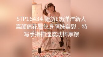 STP16434 骚货E奶洋洋新人高颜值花臂纹身萌妹自慰，特写手指扣逼震动棒摩擦