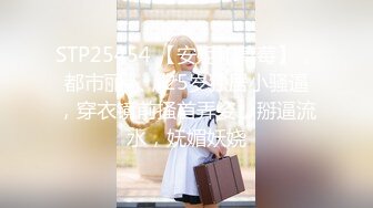 STP25454 【安妮和草莓】，都市丽人，25岁独居小骚逼，穿衣镜前搔首弄姿，掰逼流水，妩媚妖娆