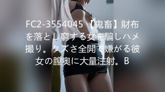 FC2-3554045 【鬼畜】財布を落とし窮する女を騙しハメ撮り。クズさ全開で嫌がる彼女の膣奥に大量注射。B